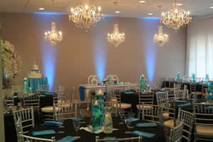 Light Blue Uplighting for a Wedding Reception | Rent online for $19/each + free shipping both ways nationwide at www.RentMyWedding.com/Rent-Uplighting