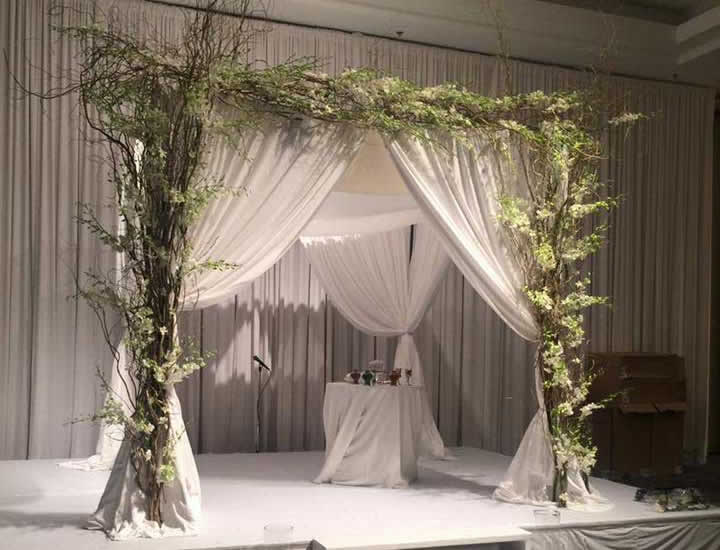 Canopy styled with branches