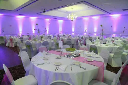 Pink uplighting for spring wedding | Rent online for $19/each + free shipping both ways nationwide at www.RentMyWedding.com/Rent-Uplighting
