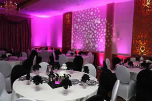 Pink Uplighting with Texture Lighting for a Wedding Reception | Rent online for $19/each + free shipping both ways nationwide at www.RentMyWedding.com/Rent-Uplighting